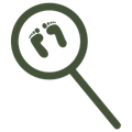 Coronial processes