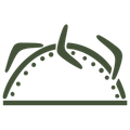 Implementation and monitoring